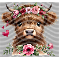 Valentine's Day-QRJ  5205